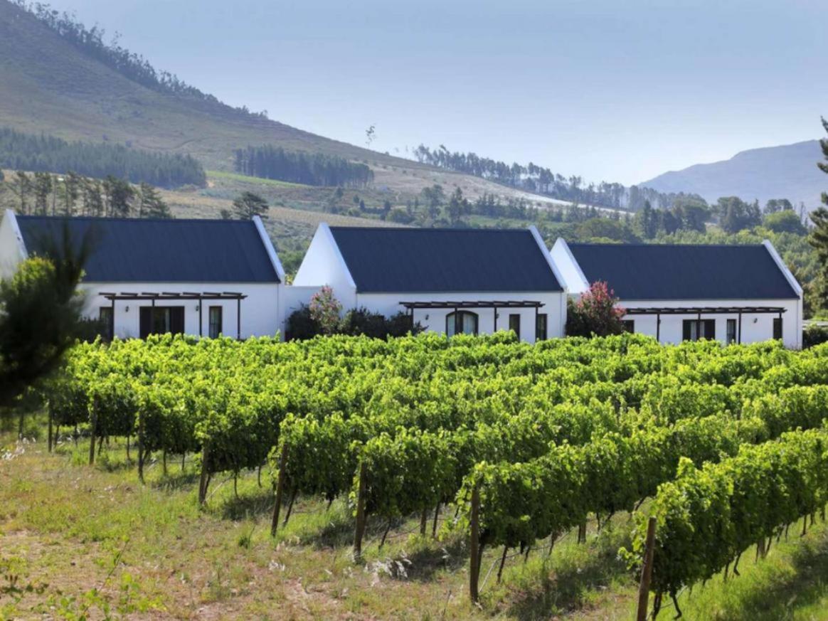 Bed and Breakfast Chambray Estate - The Terraces In The Vines Franschhoek Exterior foto