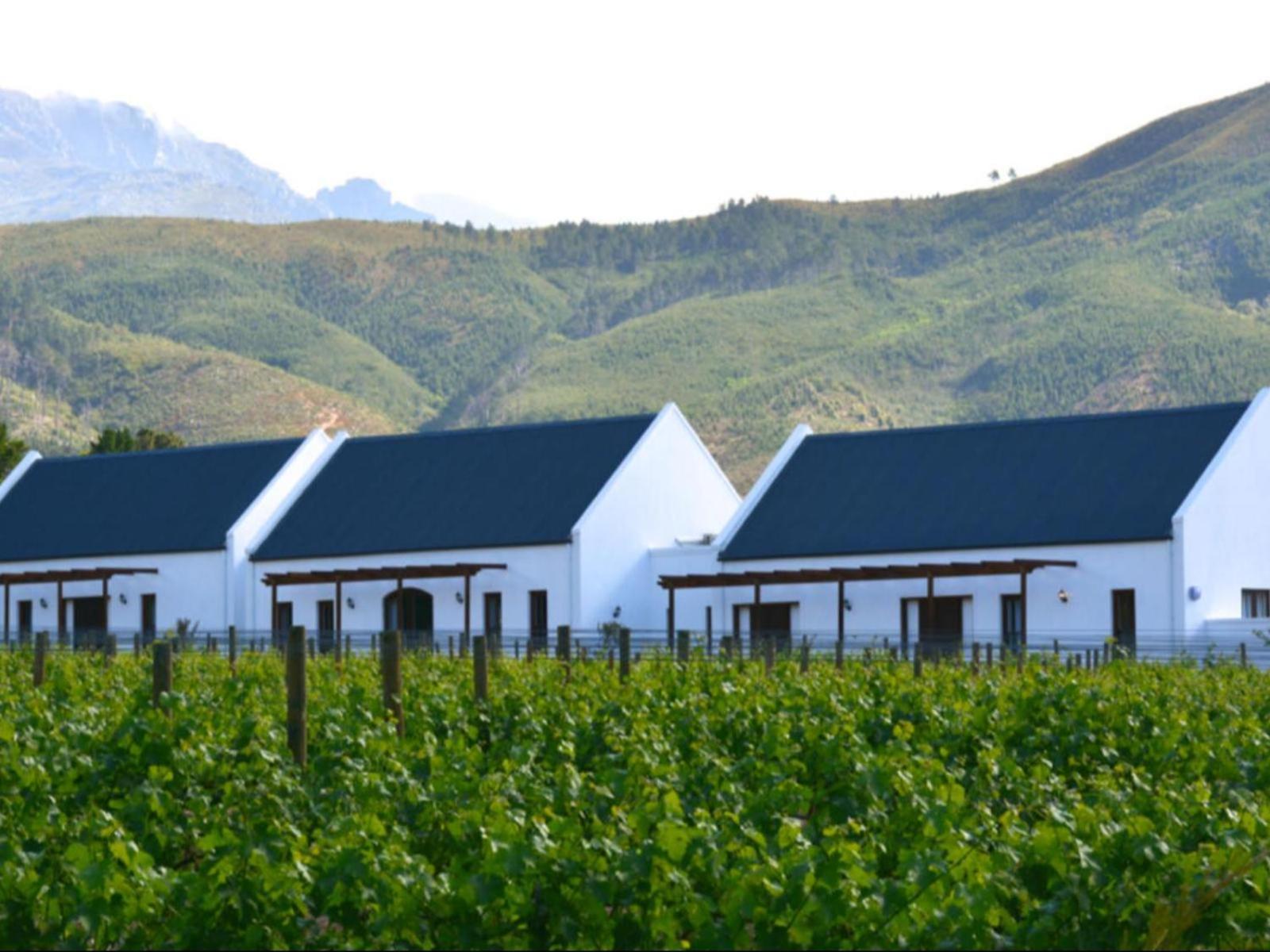 Bed and Breakfast Chambray Estate - The Terraces In The Vines Franschhoek Exterior foto