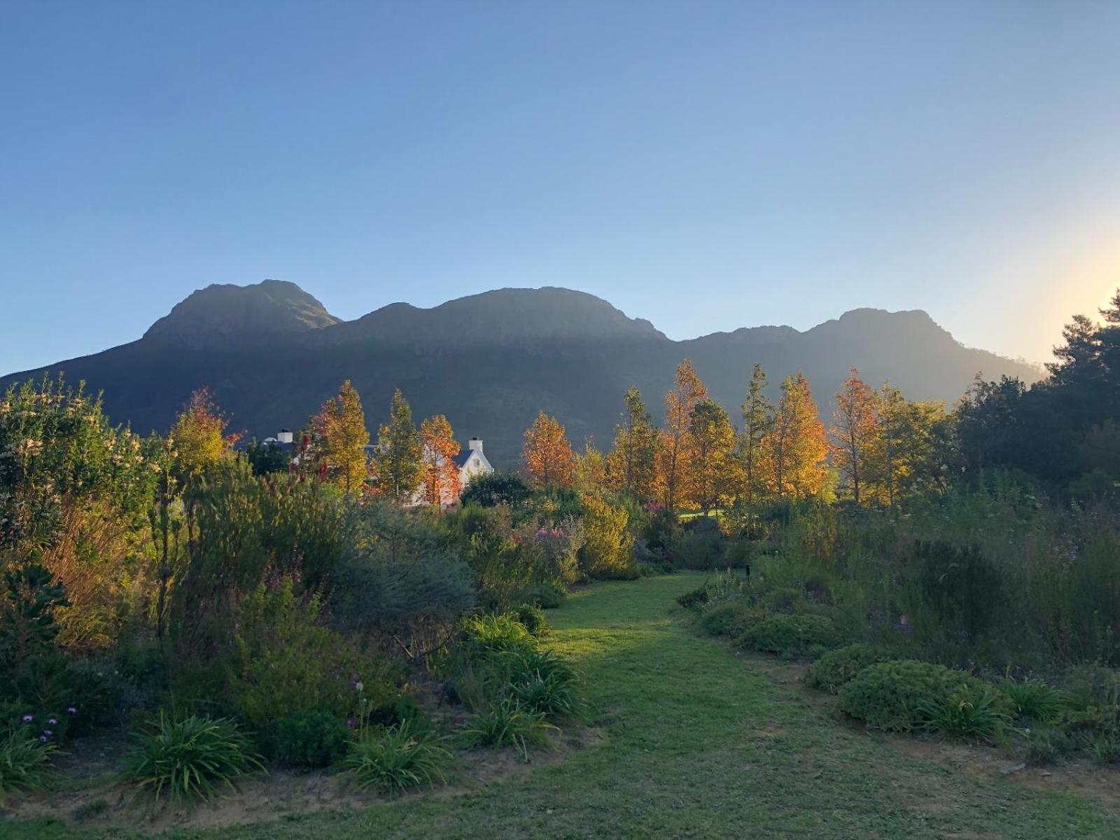 Bed and Breakfast Chambray Estate - The Terraces In The Vines Franschhoek Exterior foto